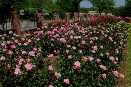 La Quinta By Wyndham South Tyler